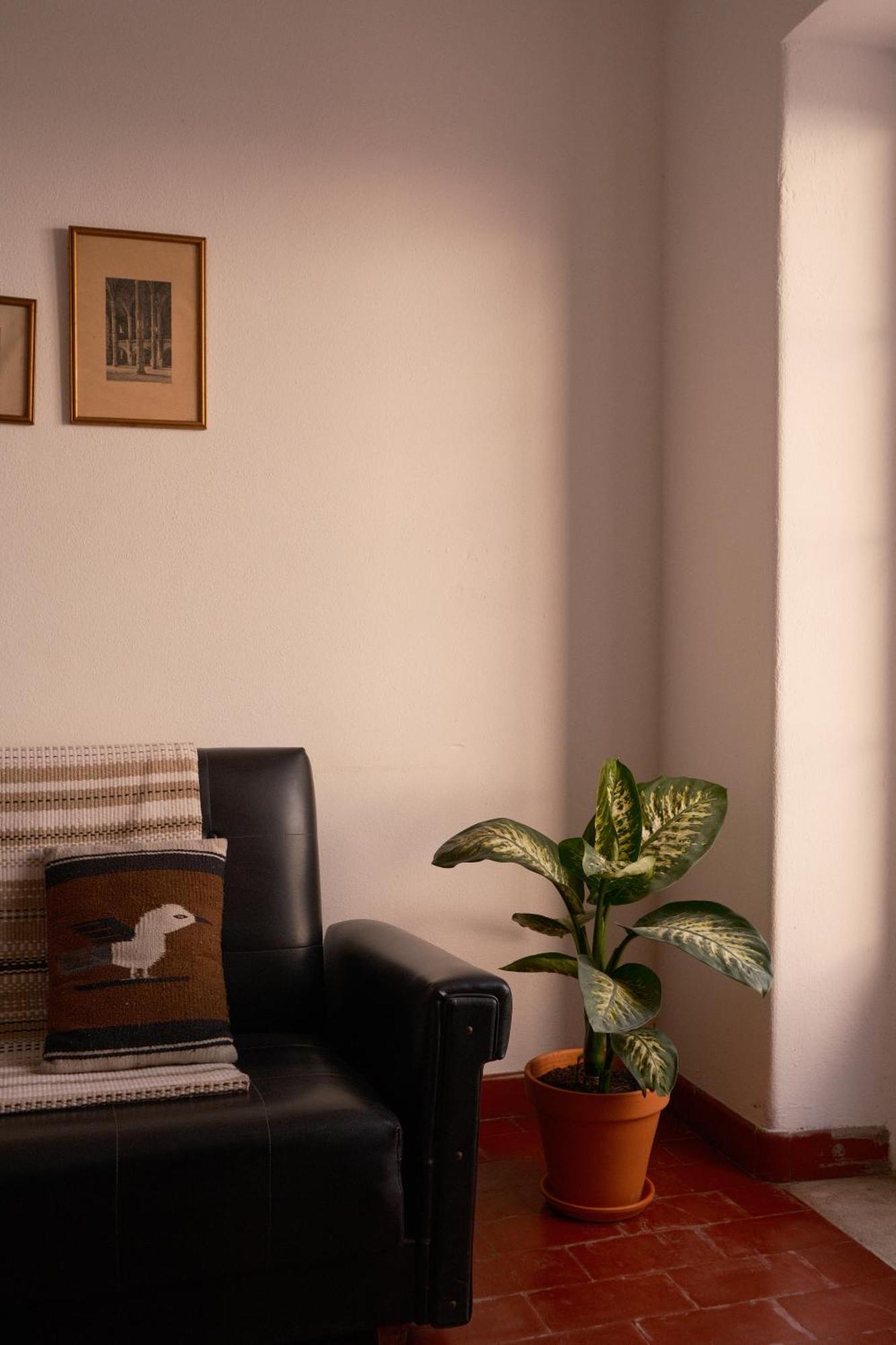Manas Coliving Apartment ซินจ์ ภายนอก รูปภาพ